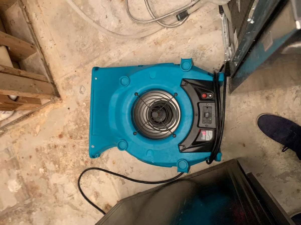 Air mover drying equipment for Mold Remediation & Removal in Lino Lakes